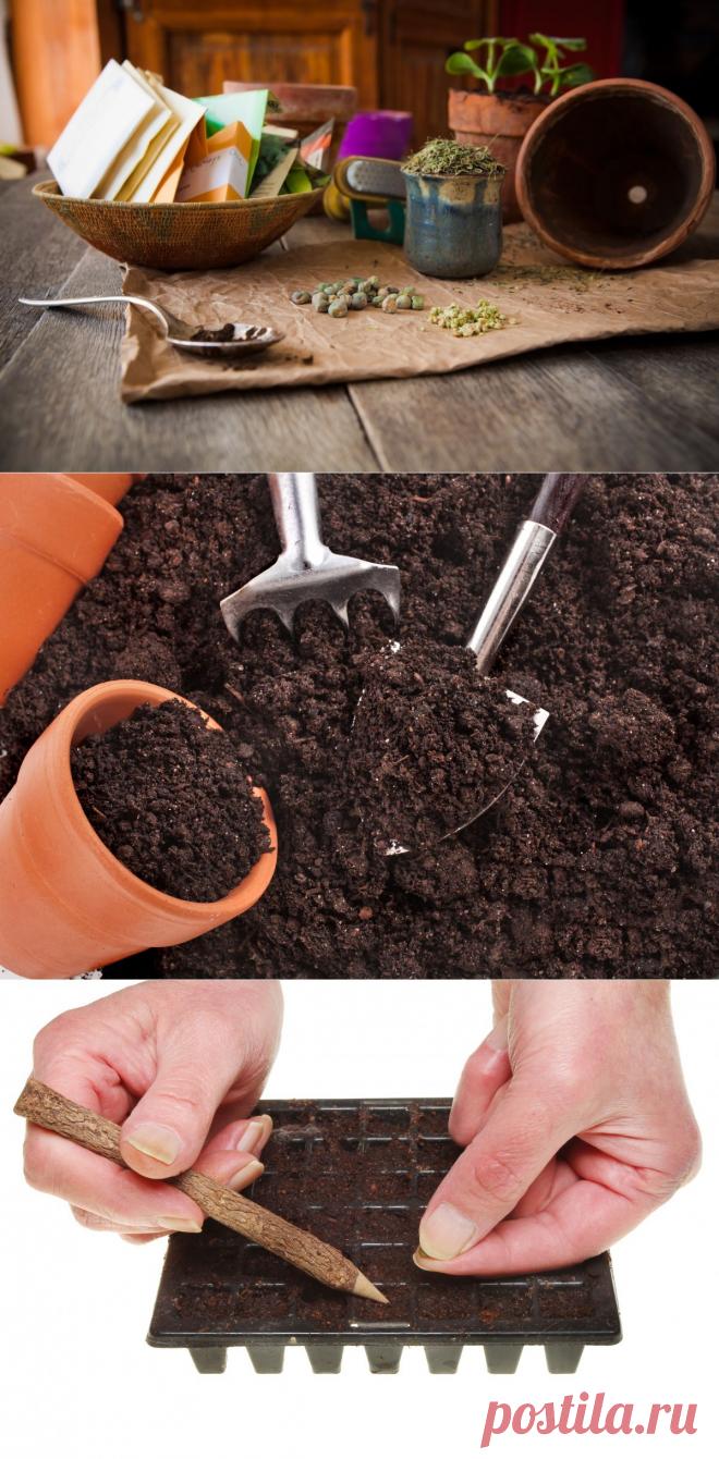 Сезонные работы в саду и огороде: конец января – начало февраля / Журнал садовода  Uleyskaya / 7dach.ru