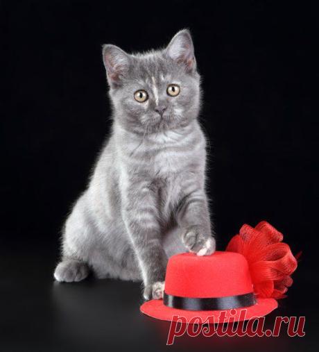Лариса Исаева