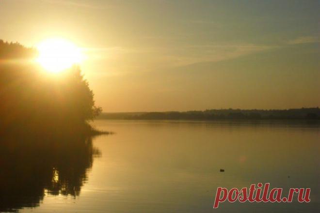 (+1) тема - Треска в сметане | Любимые рецепты