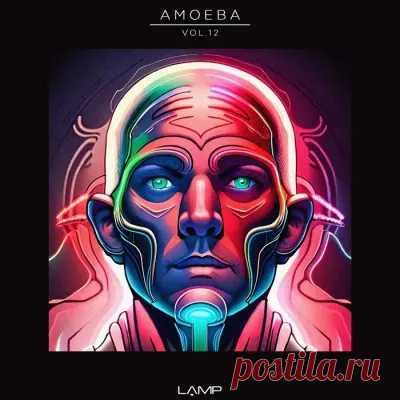 Amoeba, Vol. 12 (2024)