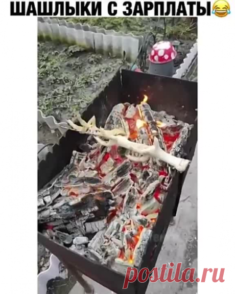 Шикарные шашлыки на нашу зарплату