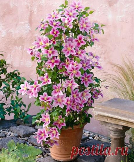 ....................