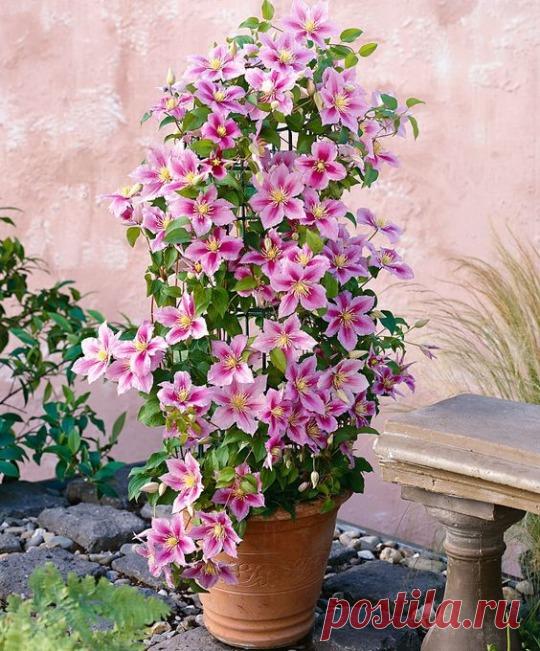 ....................