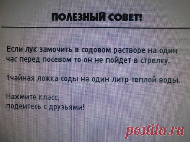 Полезные советы