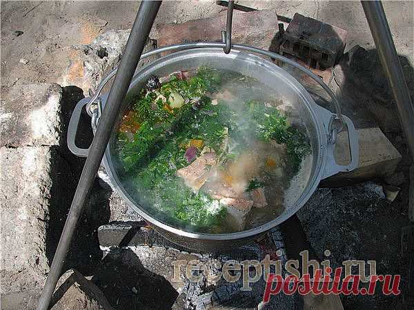 Уха «Белая» из речной рыбы