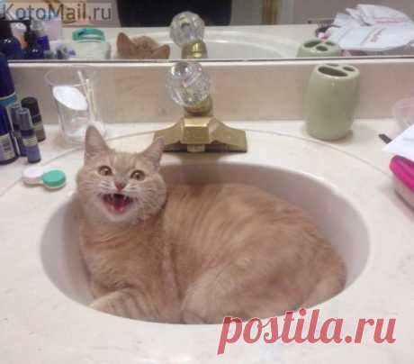 Отдыхаю я здесь!