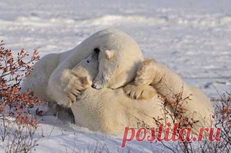 Людмила Коваль