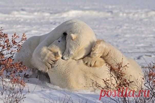 Людмила Коваль