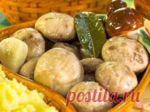 Рецепт очень вкусных маринованных грибочков