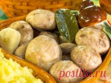 Рецепт очень вкусных маринованных грибочков