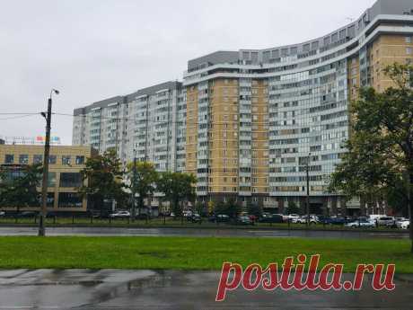 Почему выросла безнаказанность управляющих компаний | ЖКХ от первого лица | Яндекс Дзен