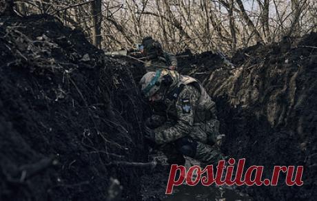 СМИ: чешский медик получил тяжелые ранения в Донбассе. Его задело артиллерийской шрапнелью, когда он помогал выносить раненого из зоны обстрела, сообщило Чешское радио