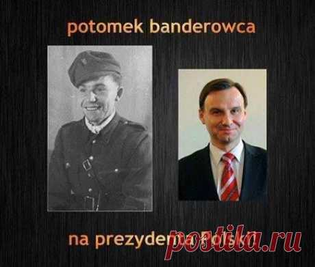 Даже вата согласится, что это круто! | Политика
