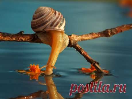 Глоток истины.