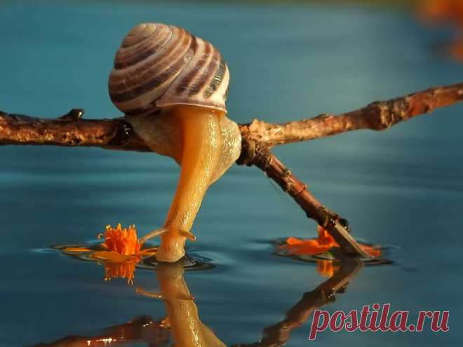 Глоток истины.