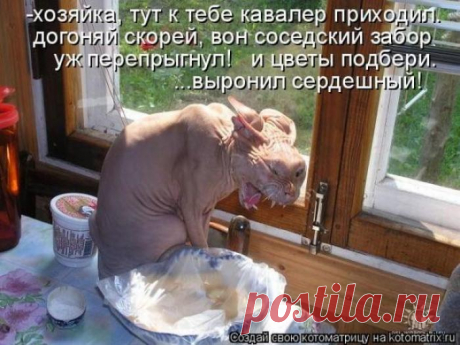 Кавалер приходил
