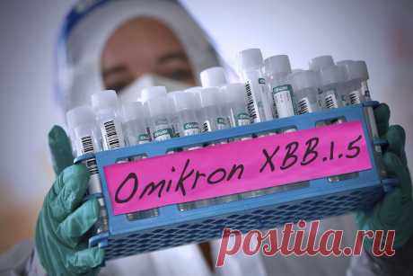 ВОЗ добивает мир: это уже не конспирология, а чудовищные факты | Царьград | Дзен