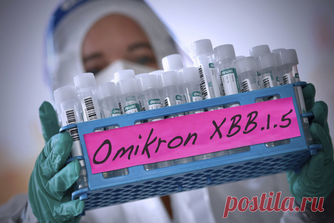 ВОЗ добивает мир: это уже не конспирология, а чудовищные факты | Царьград | Дзен