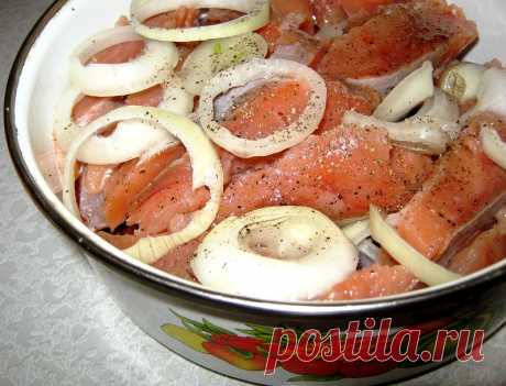 Домашнее соление рыбы и селедки