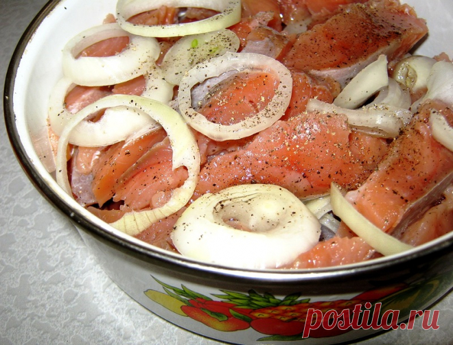 Домашнее соление рыбы и селедки