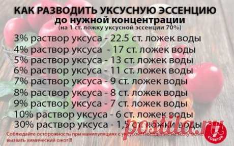 Разводим правильно уксусную эссенцию до нужной концентрации!