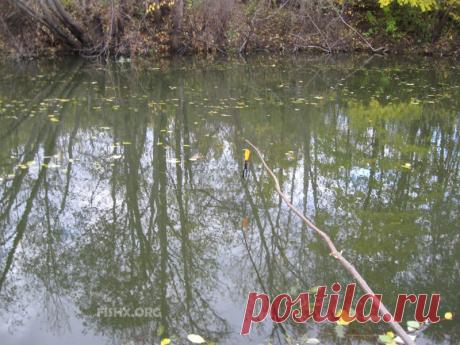 Всесезонная жерлица