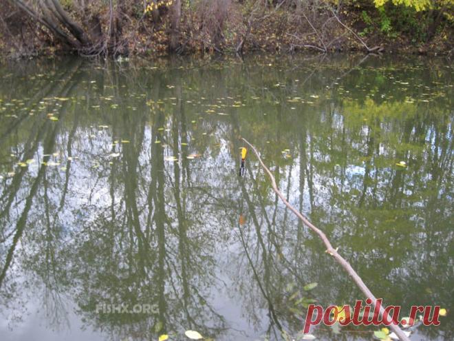 Всесезонная жерлица