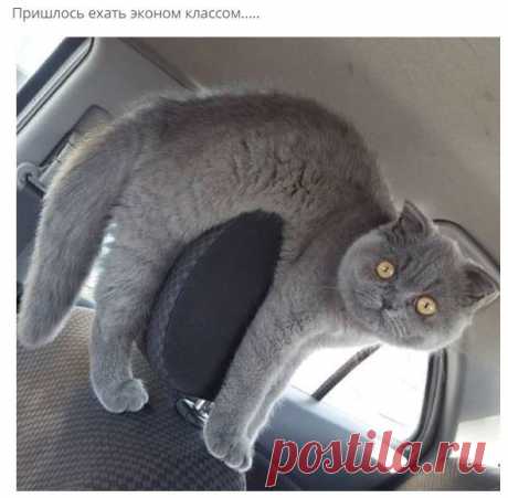 Мой Мир@Mail.Ru