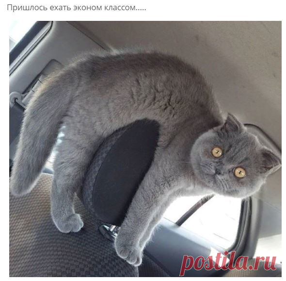 Мой Мир@Mail.Ru