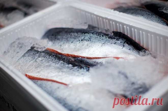 Как быстро разморозить рыбу из морозилки: 3 простых способа. В домашних условиях сделать это можно различными способами.