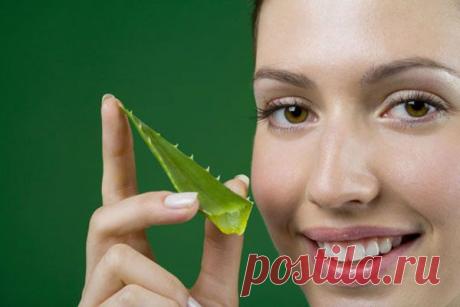 МАСКИ ДЛЯ ЛИЦА НА ОСНОВЕ АЛОЭ