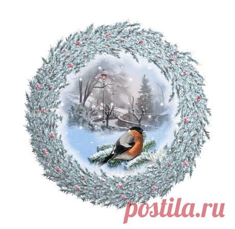 Новости