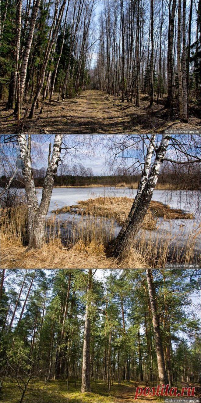 Весенние просёлки | Самоцветик