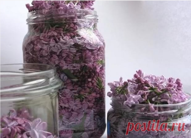 ЗАПОЛНИТЕ БАНКУ РАСТИТЕЛЬНЫМ МАСЛОМ И ФИОЛЕТОВЫМИ ЦВЕТКАМИ

Захватывающий волшебный аромат сирени невозможно забыть! Нежный и сладкий запах цветущих весенних садов наполняет нас приятными ощущениями. Но не каждый знает о лекарственных свойствах некоторых цветов. Вот, к примеру, обычная сирень. А ведь она способна помочь организму справиться со многими заболеваниями.
Цвет сирени

Лечебные свойства сирени известны в народной медицине не одну сотню лет. Она в изобилии росла в...