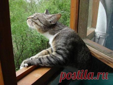 (1) Facebook