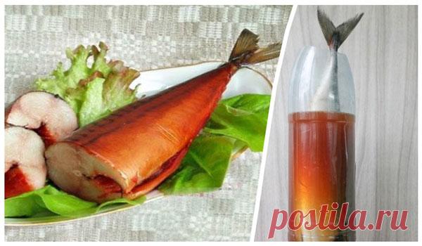 Скумбрия в бутылке — настоящий деликатес Люблю копченую скумбрию. Раньше покупала ее часто, но дети выросли и тоже стали тянуться к тарелке с рыбой. Вот тут-то я и вспомнила обо всех ужасах,