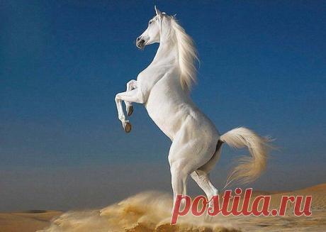 ☜♥☞Ինքս ինձնից գաղտնի` Քեզ եմ դարձյալ սիրում☜♥☞
ՋԵՄՄԱ ՍԵԴՐԱԿՅԱՆ