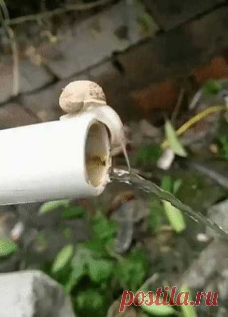 После хорошего застолья )