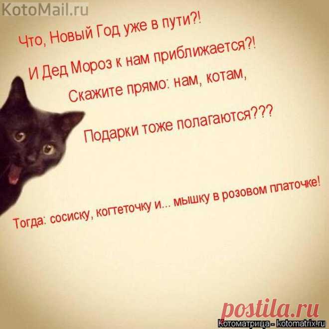 Новый Год уже в пути