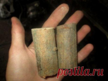 ОГНЕННОЕ ПОЛЕНО / Экстремальный досуг