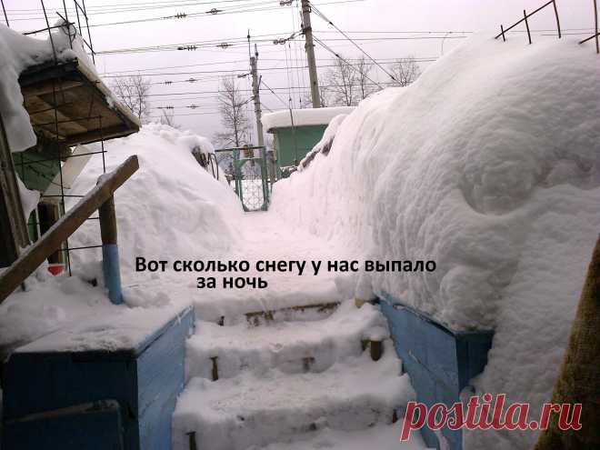 стихия