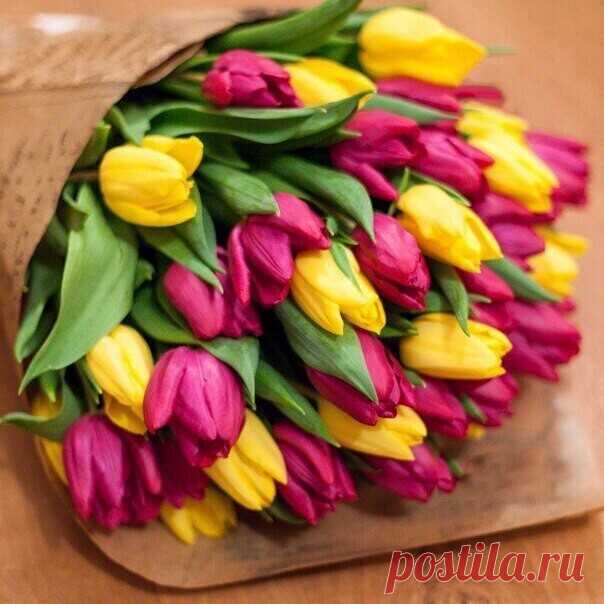 ПОЖЕЛАНИЕ на 8 МАРТА !!! ... СЧАСТЬЯ ВАМ ЖЕНСКОГО. МИЛЫЕ ЖЕНЩИНЫ !ЛЮБИТЕ И БУДЬТЕ ЛЮБИМЫМИ !С ПРАЗДНИКОМ !!! ... ПОЖЕЛАНИЕ на 8 МАРТА !!! ...