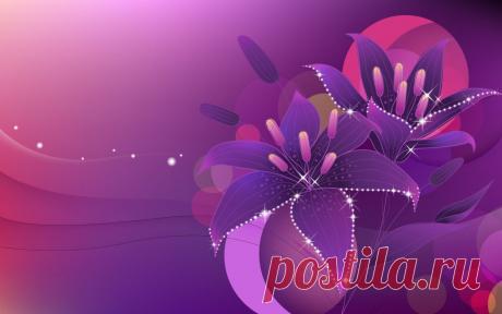 фиолетовый цвет - 707 . картинок. Поиск@Mail.Ru