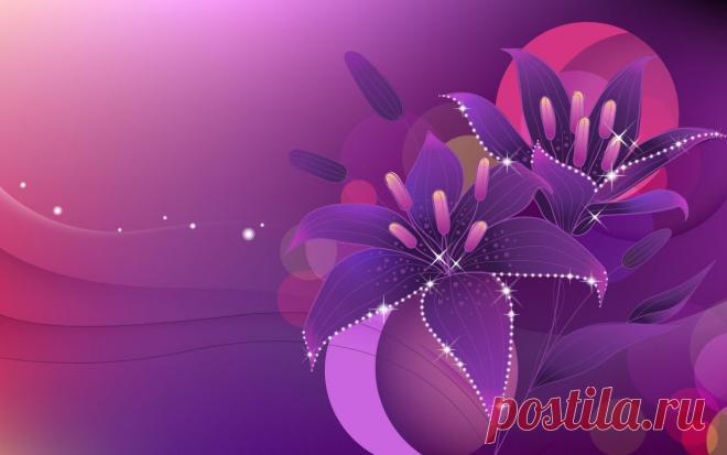 фиолетовый цвет - 707 . картинок. Поиск@Mail.Ru