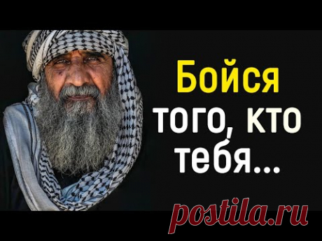 23 Коротких, но Очень Мудрых Персидских Пословиц и Поговорок | Цитаты, афоризмы, мудрые мысли.