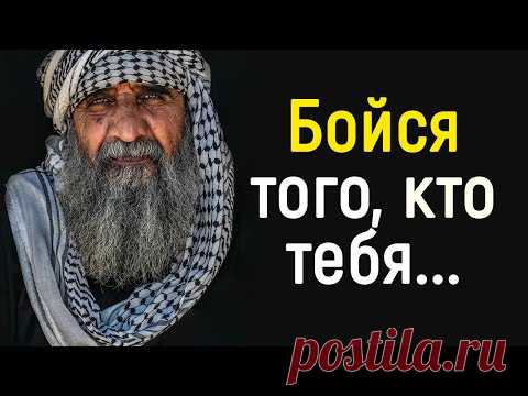 23 Коротких, но Очень Мудрых Персидских Пословиц и Поговорок | Цитаты, афоризмы, мудрые мысли.
