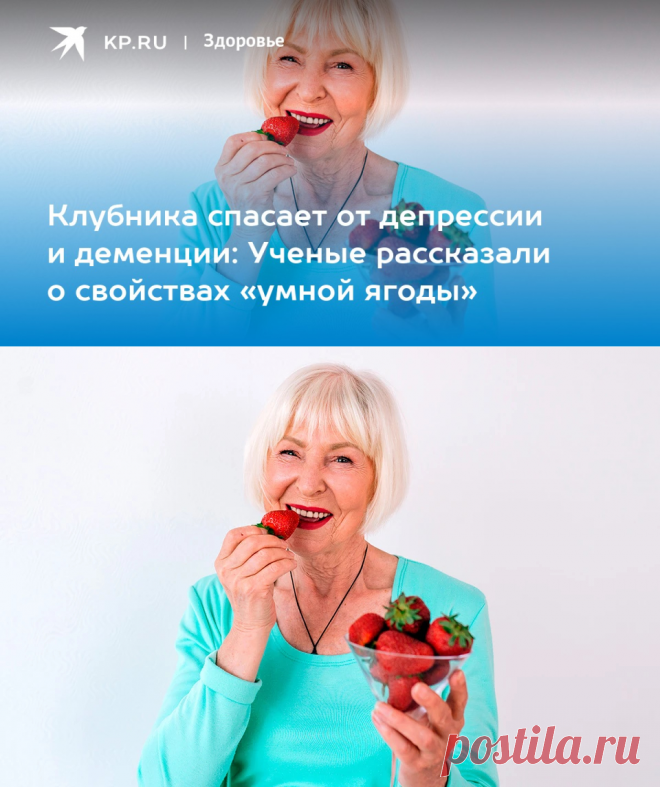 Клубника спасает от депрессии и деменции: Ученые рассказали о свойствах «умной ягоды» - KP.RU