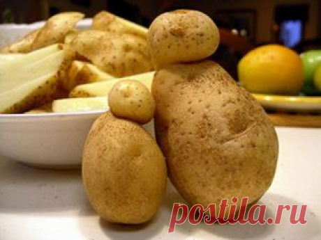 ЖЕНСКИЙ МИР