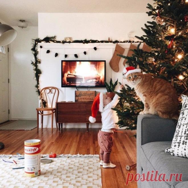 Интересные новости