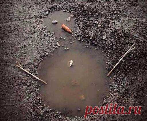 Дождевичек. Прикольные и смешные картинки на Анекдоты.ру